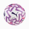 Футбольний м'яч Puma Orbita Ultimate Premier League 084699-01