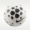 Футбольний м'яч Nike Pitch Fa25 White/Black HV6249-100